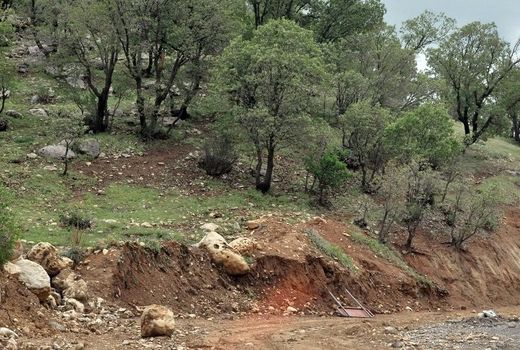 طرح کاداستر، راهکاری برای تثبیت مالکیت دولت و افزایش ضریب حفاظتی عرصه‌های ملی است