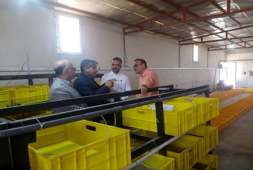 طرح تکثیر و پرورش پلی کت در شهرستان تنگستان