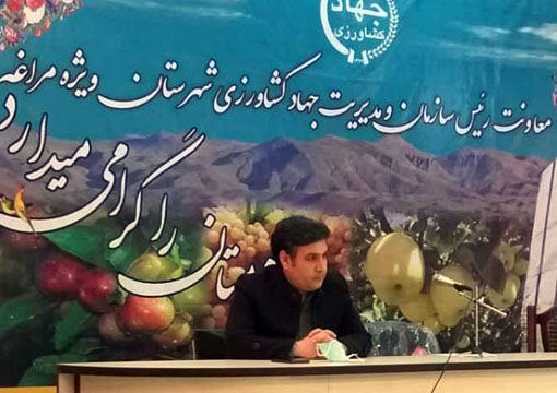 افزایش سطح اجرای جهش تولید دیمزارها در مراغه