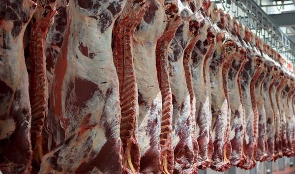 ذخیره‌سازی 600 تُن گوشت قرمز تا پایان سال