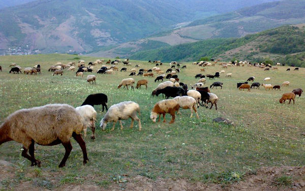 ضرورتی برای ارتقا تابآوری و بهرهوری خاک