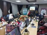 تقدیر از 8 بانوی روستایی کارآفرین خراسان شمالی 
