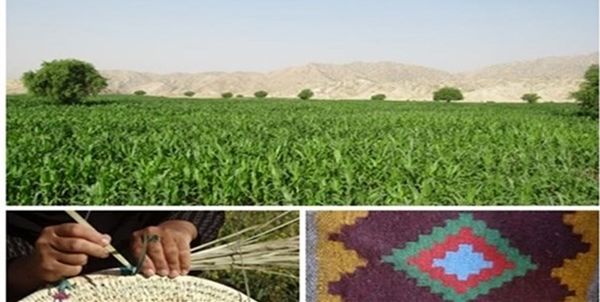 راه‌اندازی 11 صندوق خرد زنان در شهرستان آبدانان