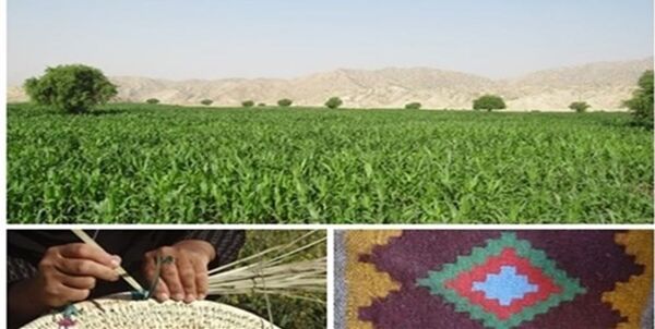 راه‌اندازی 11 صندوق خرد زنان در شهرستان آبدانان