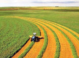 تایید ۱۳۸  پرونده جدید برای صدور اسناد کشاورزی