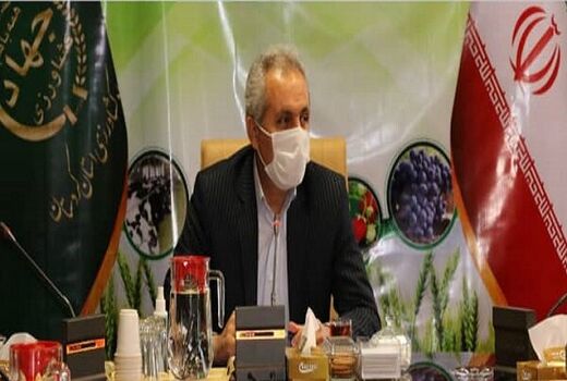 ۵۳۵ میلیارد تومان تسهیلات در بخش کشاورزی کردستان پرداخت شد