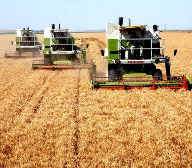 راهکارهای افزایش بهره‌وری در اراضی دیم استان کرمانشاه