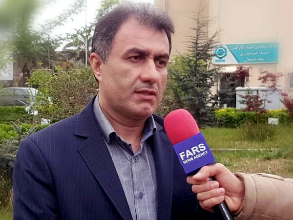 آماده سازی شالیکوبی های گیلان برای تولید برنج تازه