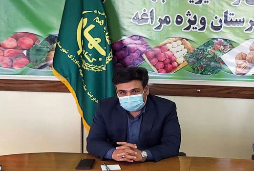  توزیع و کشت ٢٠ هزار  اصله نشا گیاهان دارویی یارانه دار در شهرستان مراغه