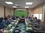 عرضه مستقیم محصولات کشاورزی در دستور کار تعاون روستایی قرار دارد