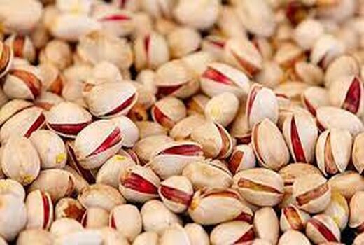 پیش بینی تولید ۳ هزارتُن پسته در خراسان شمالی 
