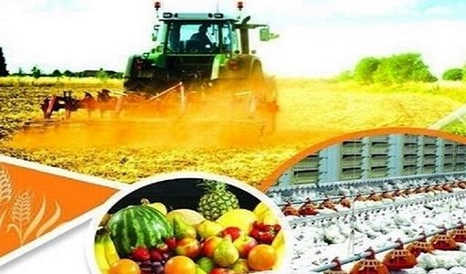 کاهش ۳۵ تا ۴۰ درصدی ضایعات کشاورزی؛ کلید بهبود امنیت غذایی کشور