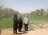  بازدید از 20 طرح مختلف در آبادان 