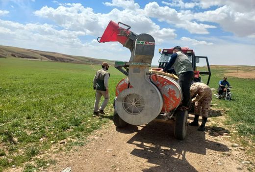 اجرای طرح بسیج سازندگی برای مقابله با آفت سن غلات در چاراویماق