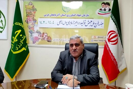 رکورد تولید و خرید تضمینی گندم در آذربایجان غربی برای دومین سال متوالی شکسته شد