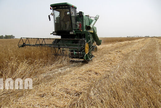 گندمکاران طلبکار خوزستانی یک ماه دیگر صبر کنند