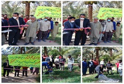 در ششمین روز از هفته جهاد کشاورزی طرح آبیاری کم فشار 53 هکتاری افتتاح شد