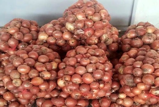 پرداخت 92 درصد از مطالبات کشاورزان پیازکار 