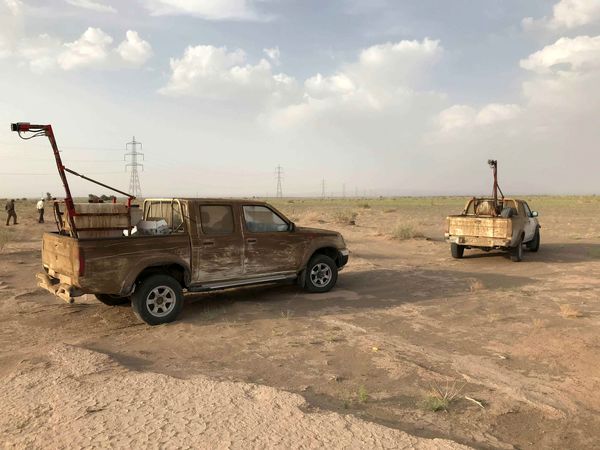 شبانهروزی با ملخ صحرایی مبارزه میکنیم