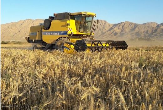 ۱۳۰ دستگاه کمباین برای برداشت غلات در شیروان نیاز است
