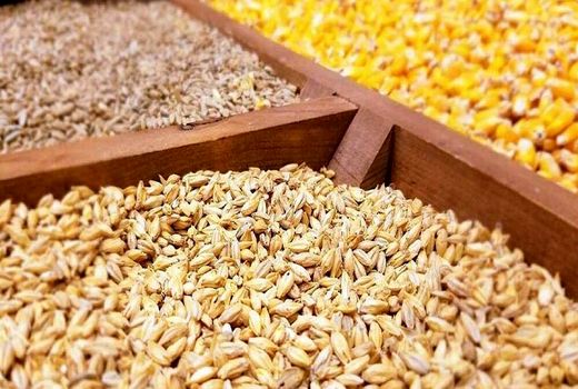 فرصت ذخیره‌سازی ۱.۵ میلیون تن ذرت و ۱۲۰ میلیون دلار صرفه‌جویی ارزی