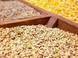 فرصت ذخیره‌سازی ۱.۵ میلیون تن ذرت و ۱۲۰ میلیون دلار صرفه‌جویی ارزی