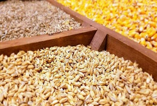 فرصت ذخیره‌سازی ۱.۵ میلیون تن ذرت و ۱۲۰ میلیون دلار صرفه‌جویی ارزی