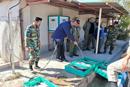 صید ماهیان قزل‌آلا  از استخرهای ذخیره کشاورزی پایگاه هوانیروز آذربایجان شرقی  