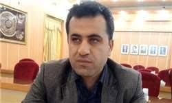 بذر مرغوب، محور اصلی پایداری تولید در کشاورزی
