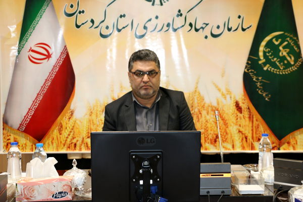 رفع تداخل و صدور اسناد مالکیت یک انقلاب در حوزه زمین است
