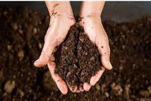 کاهش حاصلخیزی خاک با بی توجهی به تامین عناصر مورد نیاز