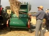 آغاز برداشت گلرنگ صفه در اراضی کم‌بازده آذربایجان شرقی