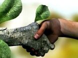 همیاران طبیعت یاوران افتخاری برای منابع طبیعی هستند