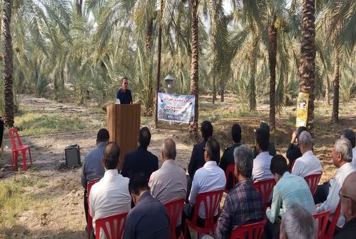 مانور مقابله با آفات چوبخوار خرما در دشتستان برگزار شد