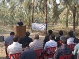 مانور مقابله با آفات چوبخوار خرما در دشتستان برگزار شد
