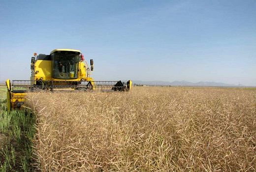 ۲۸۴۳ میلیارد ریال اعتبار به سازمان جهاد کشاورزی استان مرکزی ابلاغ شد