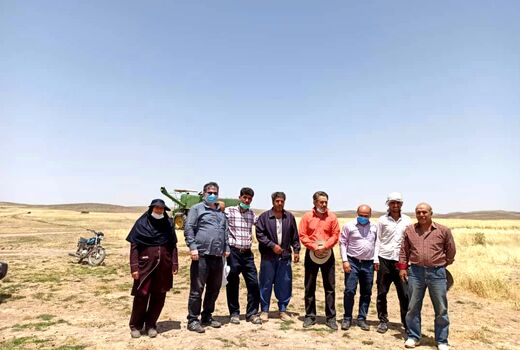 آموزش۵۴۰ کشاورز و بهره‌بردار بخش کشاورزی در دوره‌های مهارت افزایی  