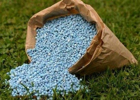 ارسال 161 هزار تن کود اوره به 26 استان کشور از پتروشیمی شیراز / توزیع 57 هزار تن کود اوره در فارس