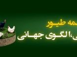 پوشش بیمه ای ۱.۸ میلیارد قطعه طیور و پرداخت ۳۳۰۰ میلیارد ریال خسارت در سال ۱۴۰۴ / پایداری تولید در زنجیره تأمین پروتئین کشور