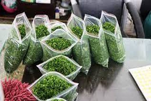 توسعه صنایع تبدیلی و تکمیلی بخش کشاورزی و مشاغل خانگی در اهواز