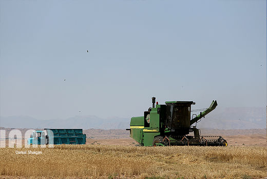 افزایش 2.8 میلیون تنی تولید محصولات کشاورزی