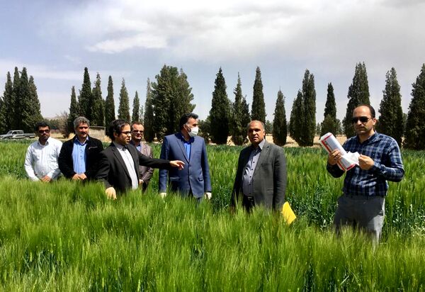 جهش تولید با توسعه تجربیات علمی میسر می شود
