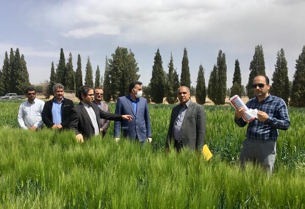 جهش تولید با توسعه تجربیات علمی میسر می شود