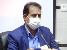 ۳۶ طرح گلخانه ای در «دشتی» در دست اجرا است