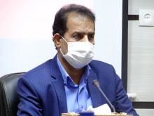 ۳۶ طرح گلخانه ای در «دشتی» در دست اجرا است