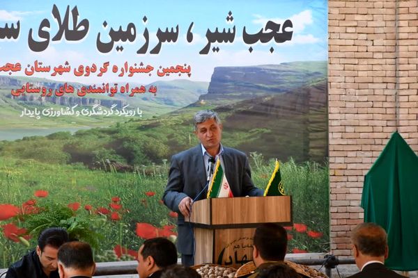 تولید 20 هزار تن گردو از باغات آذربایجان شرقی/ عجبشیر پیشتاز تولید گردو در استان