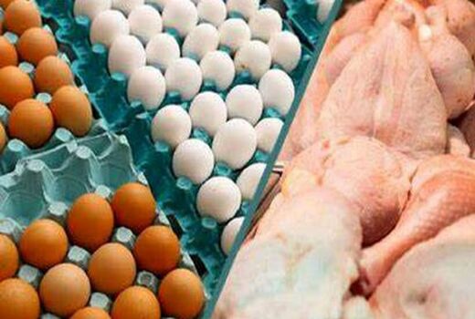 قیمت گوشت مرغ و تخم مرغ روند کاهشی داشته است