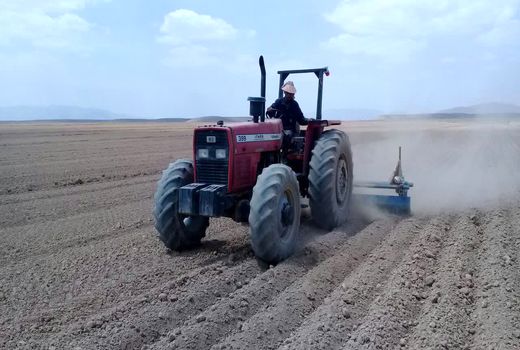 کاشت گندم در خرم بید تا اواخر آبان