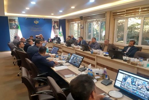 سامانه تولید و کاشت درخت راه‌اندازی شد