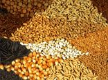 تخصیص ارز نیمایی به ۴ نهاده جایگزین کنجاله سویا در بازارگاه